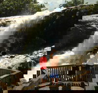 Murray Falls Girramay National Park - Sunshine Coast Tourism