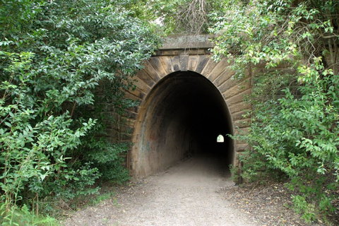 Mushroom Tunnel - Sunshine Coast Tourism 0