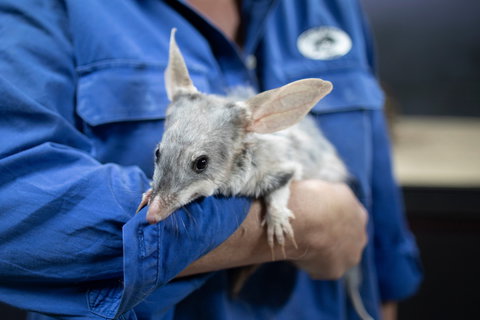 Natural Sciences Loop - Holiday Sunshine Coast 2