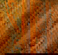 Newcastle Waters - Sunshine Coast Tourism