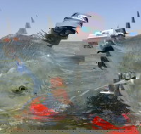 Ningaloo Fly Fishing - Sunshine Coast Tourism