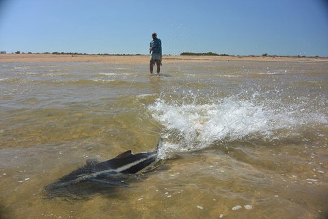 Ningaloo Fly Fishing - Sunshine Coast Tourism 2