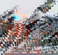 Oddies Creek Adventure Playspace - Sunshine Coast Tourism