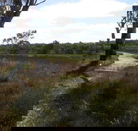 Penola Conservation Park - Sunshine Coast Tourism