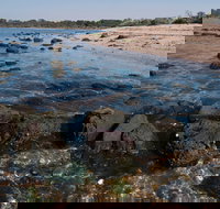Point Cook Marine Sanctuary - Sunshine Coast Tourism