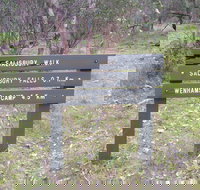 Salisbury Falls Walk - Sunshine Coast Tourism