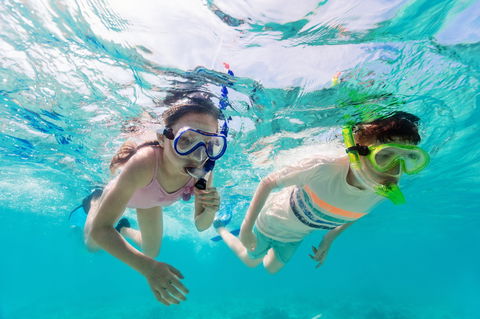 Snorkel Hat Head Creek - Sunshine Coast Tourism 0
