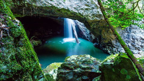 Springbrook - Sunshine Coast Tourism 0