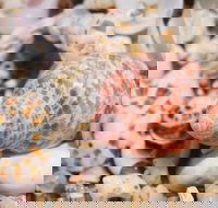 Stokes National Park - Sunshine Coast Tourism