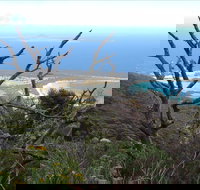 Strzelecki Peaks Great Short Walk - Sunshine Coast Tourism