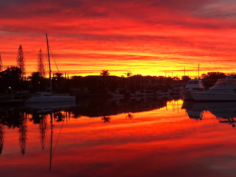 Straddievarious Gallery - Sunshine Coast Tourism 1