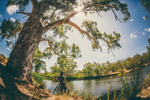 Sturt Gorge Recreation Park - Holiday Sunshine Coast 0
