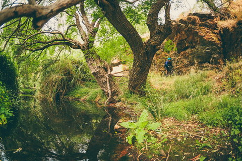 Sturt Gorge Recreation Park - Holiday Sunshine Coast 1