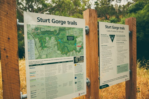 Sturt Gorge Recreation Park - Holiday Sunshine Coast 2