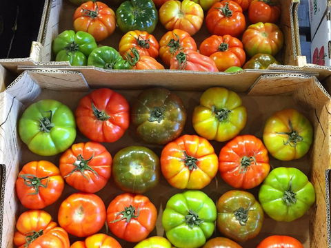 Sydney Produce Market - Holiday Sunshine Coast 1