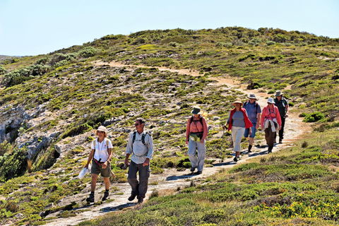 The Sole Walk At Hillocks Drive - Sunshine Coast Tourism 0