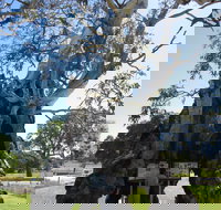 The Herbig Family Tree - Holiday Sunshine Coast