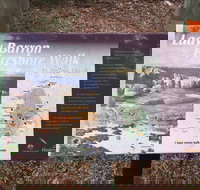 The Lady Barron Foreshore Walk - Sunshine Coast Tourism