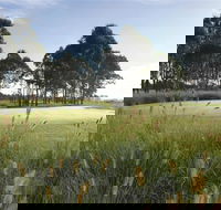 Twin Creeks Golf and Country Club - Sunshine Coast Tourism