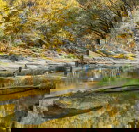 Warrabah National Park - Sunshine Coast Tourism