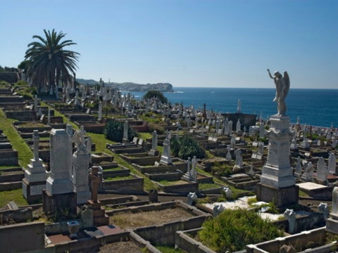 Waverley Cemetery - Sunshine Coast Tourism 0
