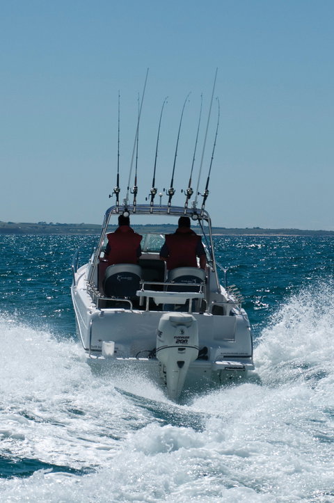 Western Port - Sunshine Coast Tourism 1