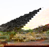 Whyalla Conservation Park - Sunshine Coast Tourism
