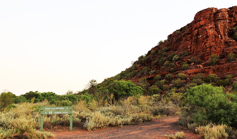 Whyalla Conservation Park - Holiday Sunshine Coast 0