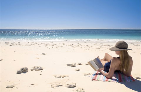 Wilson Island - Sunshine Coast Tourism 1