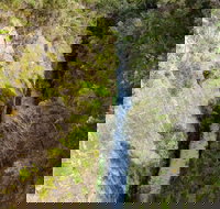 Woakwine Cutting - Holiday Sunshine Coast