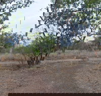 Alexander Forest Memorial - Sunshine Coast Tourism