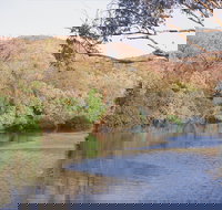 Alligator / Crocodile Hole - Sunshine Coast Tourism