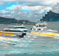 Apex Camps Magnetic Island Group Accommodation Activities and Events - Sunshine Coast Tourism