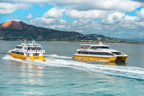 Apex Camps Magnetic Island Group Accommodation, Activities And Events - Sunshine Coast Tourism 0