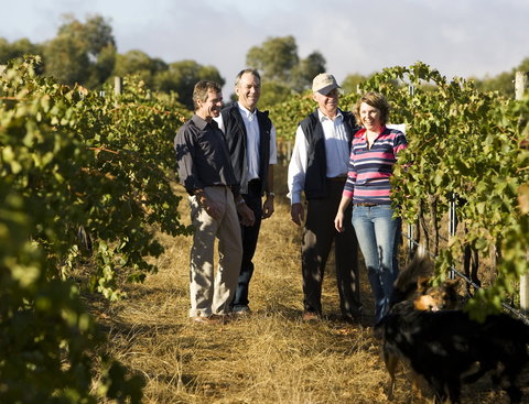 Ararat - Sunshine Coast Tourism 1