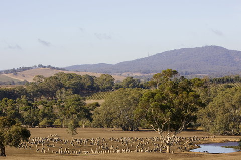 Ararat - Sunshine Coast Tourism 2