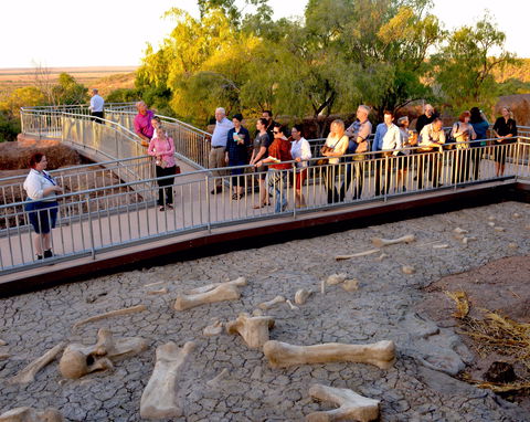 Australian Age Of Dinosaurs - Sunshine Coast Tourism 0