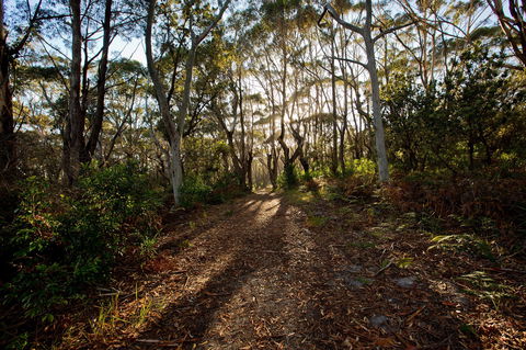 Booderee National Park: Munyunga Waraga Dhugan Walking Trail - Sunshine Coast Tourism 0