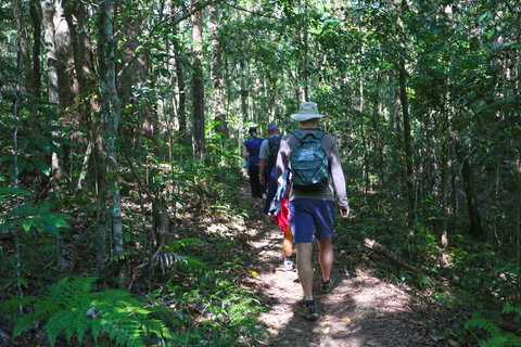 Booloumba Falls Walk, Conondale National Park - Holiday Sunshine Coast 1