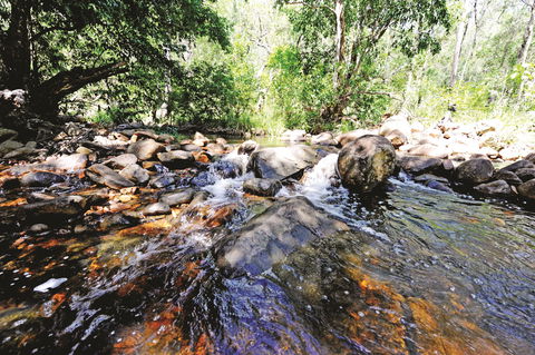 Boyne Valley - Sunshine Coast Tourism 1
