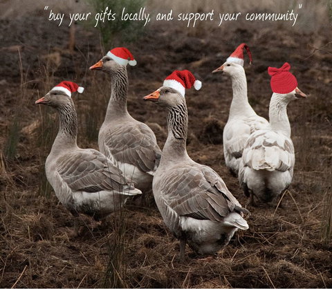 Bream Creek Farmers Market - Holiday Sunshine Coast 1