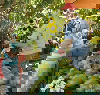 Broome Food and Heritage Trail - Holiday Sunshine Coast