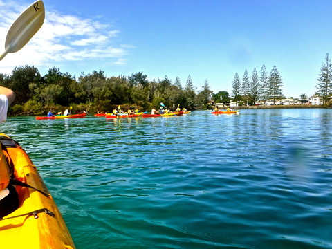 Byron Bay River Nature Kayak Tour - Holiday Sunshine Coast 0