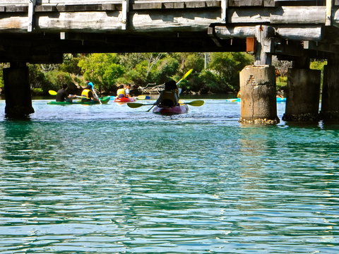 Byron Bay River Nature Kayak Tour - Holiday Sunshine Coast 1