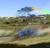 Centennial Park Beachport - Sunshine Coast Tourism