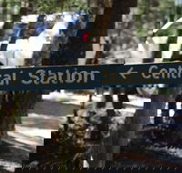 Central Station - Sunshine Coast Tourism