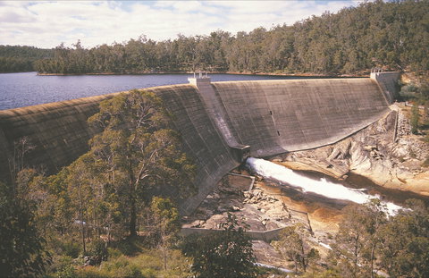 Collie - Sunshine Coast Tourism 0