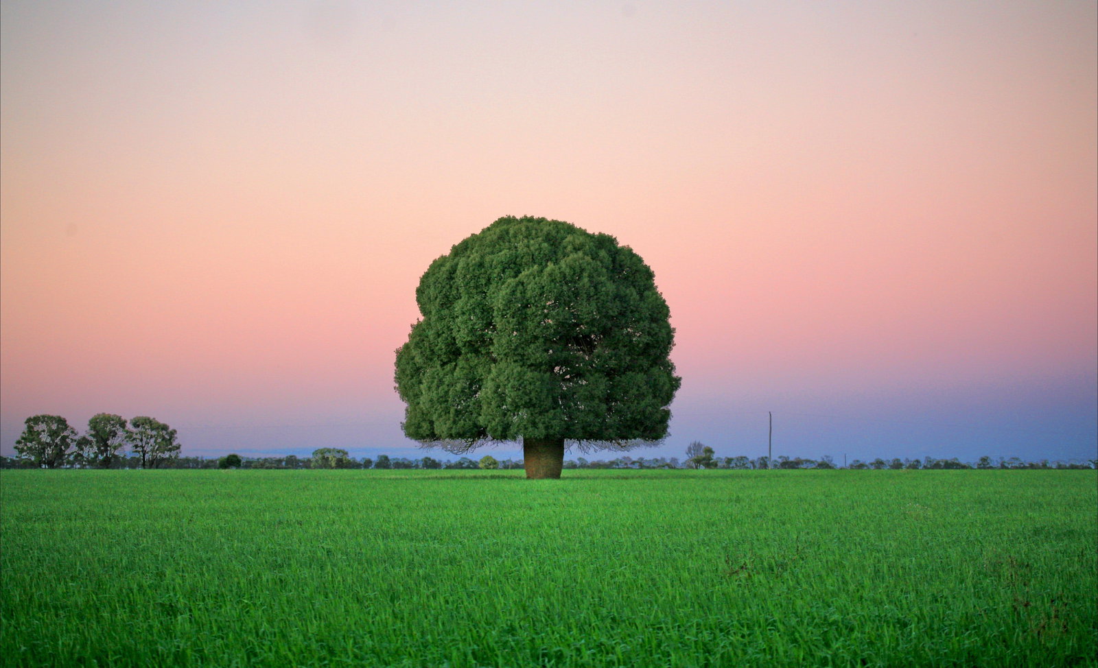 Condamine QLD Sunshine Coast Tourism