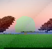 Condamine - Sunshine Coast Tourism