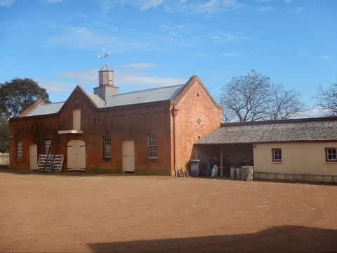 Cooma Cottage - Sunshine Coast Tourism 1